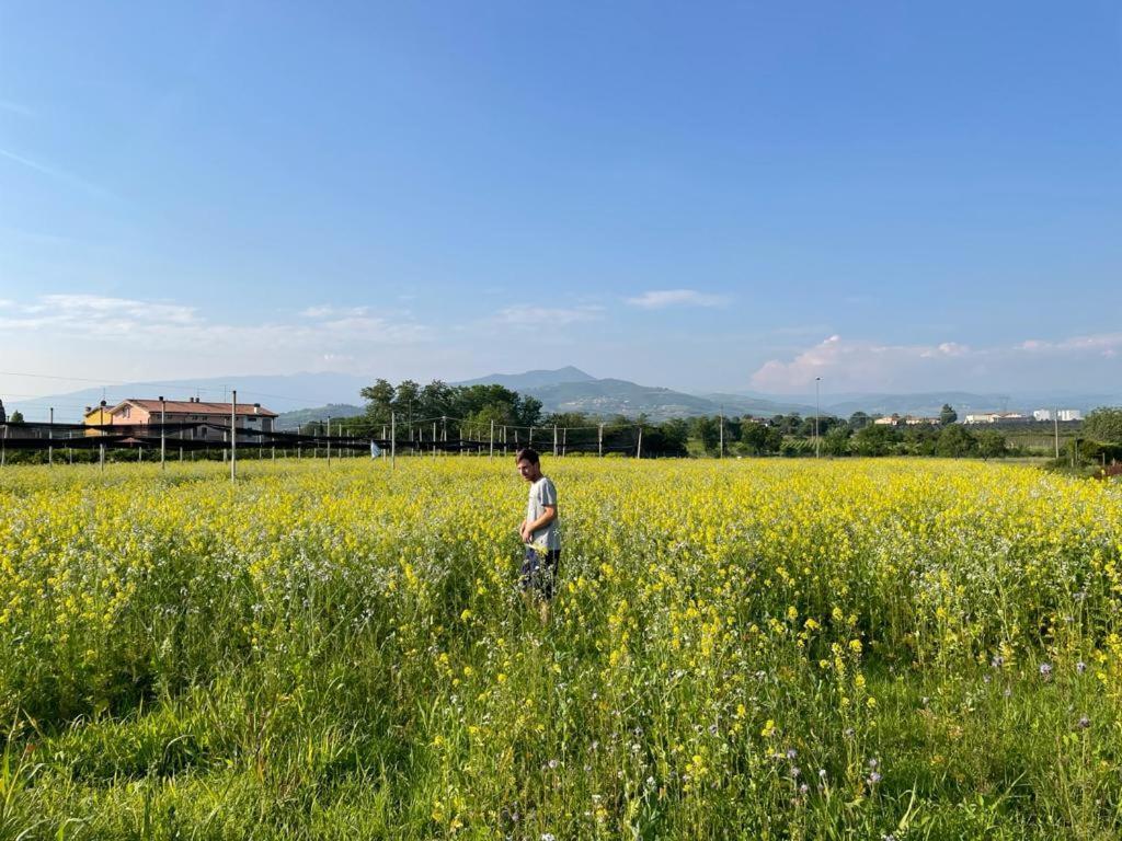 Agriturismo Fior Di Maggio Pescantina ภายนอก รูปภาพ