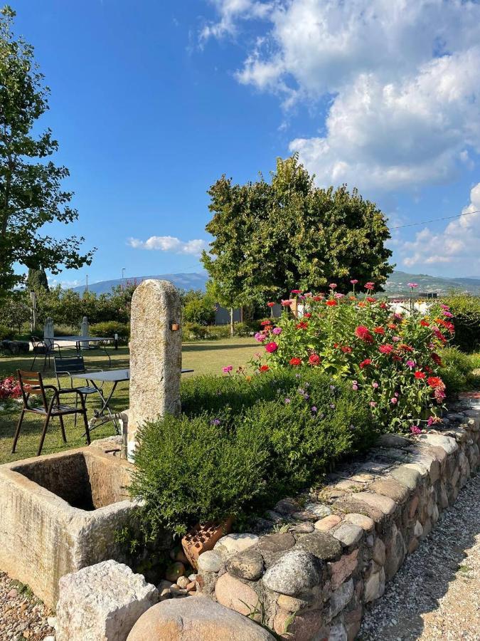 Agriturismo Fior Di Maggio Pescantina ภายนอก รูปภาพ