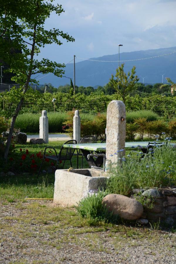 Agriturismo Fior Di Maggio Pescantina ภายนอก รูปภาพ