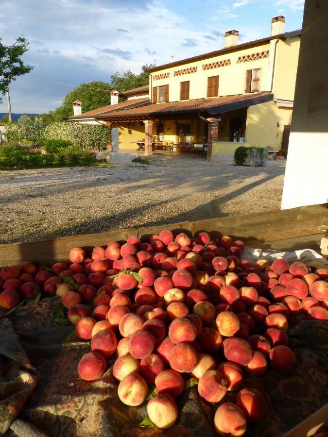 Agriturismo Fior Di Maggio Pescantina ภายนอก รูปภาพ